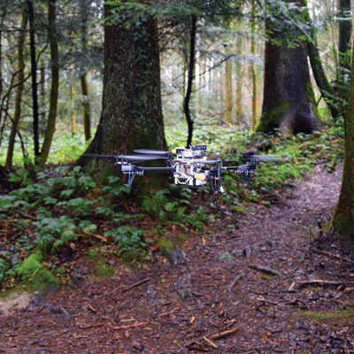 Use of drones in forestry